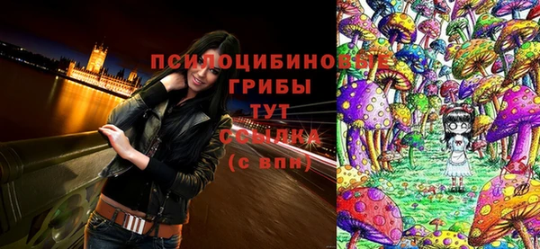 трава Алексин