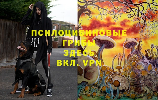 MESCALINE Алзамай