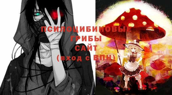 альфа пвп Нязепетровск