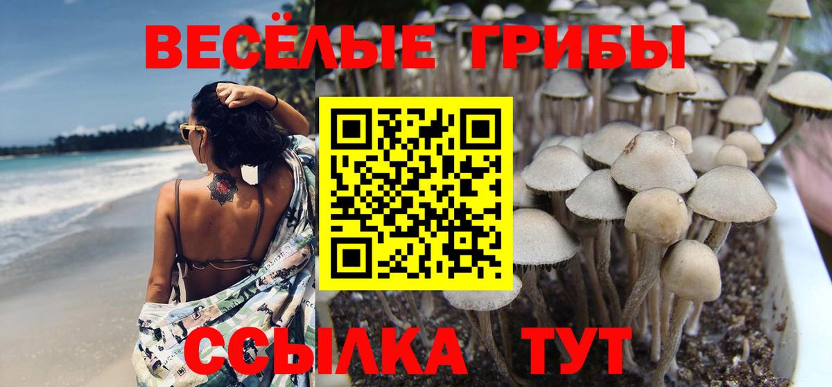 Кемерово  где продают наркотики  Вход с VPN  Псилоцибиновые грибы мухоморы 